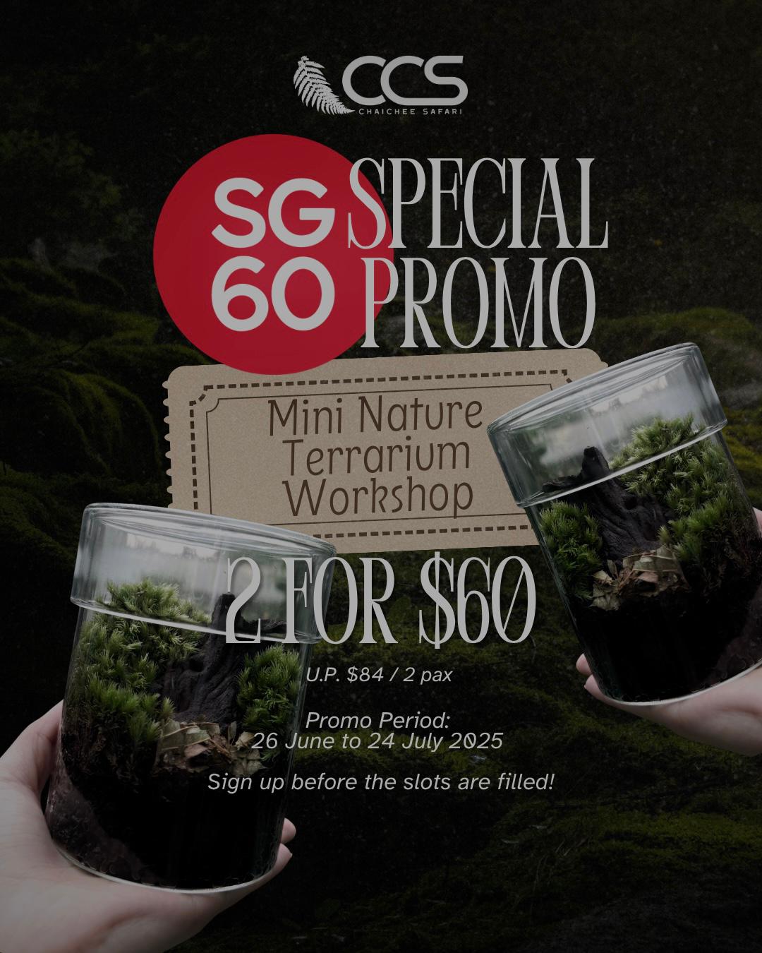 SG60 Promo 2 set of Mini terrarium workshop(12.5cm(H) by 9.5cm(D)