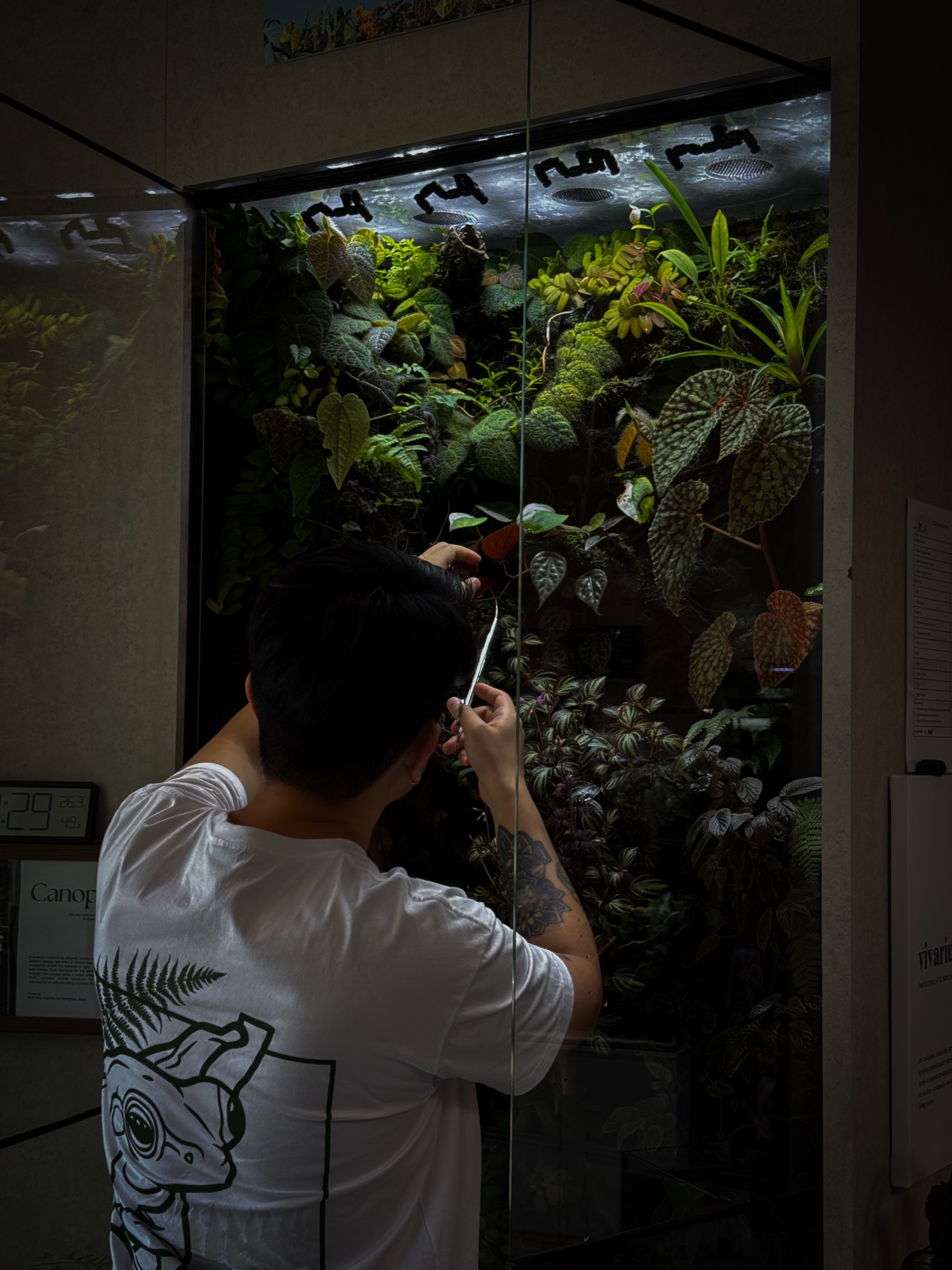 CCS staff trimming and maintaining a thriving vivarium