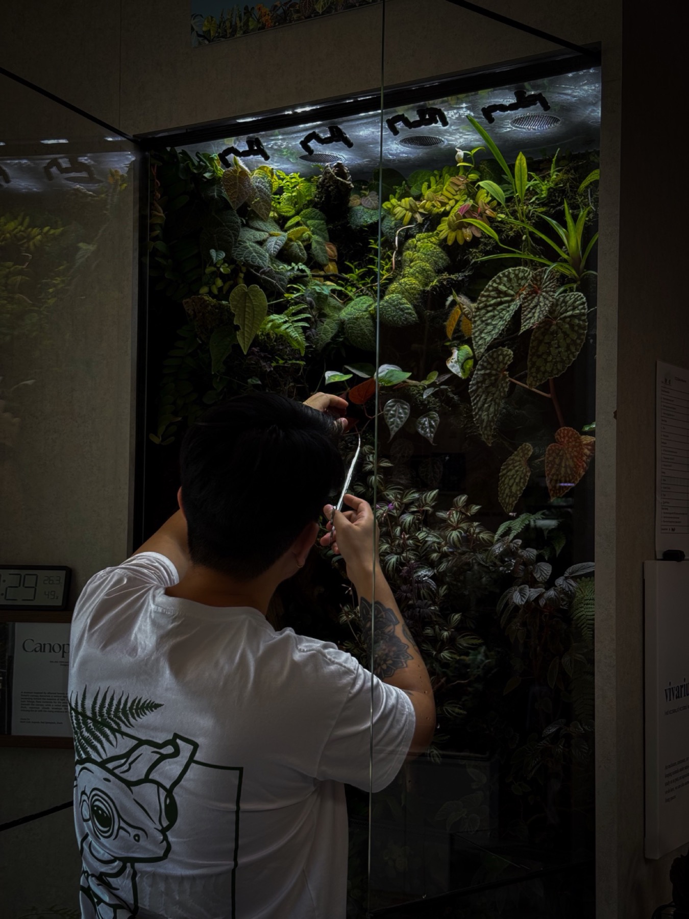 CCS staff trimming and maintaining a thriving vivarium