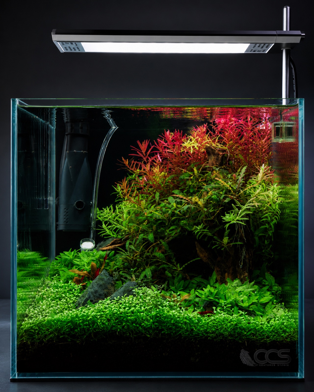 CCS Nano aquascape