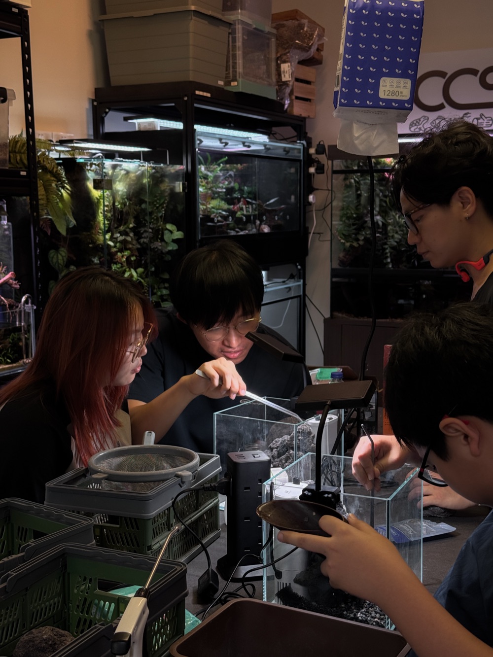 A team focused on building their habitats