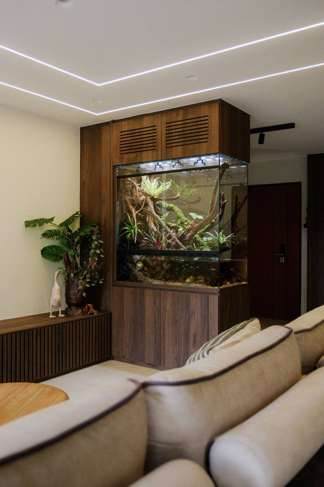 Ascend, a living-room paludarium designed and built by Chai Chee Safari