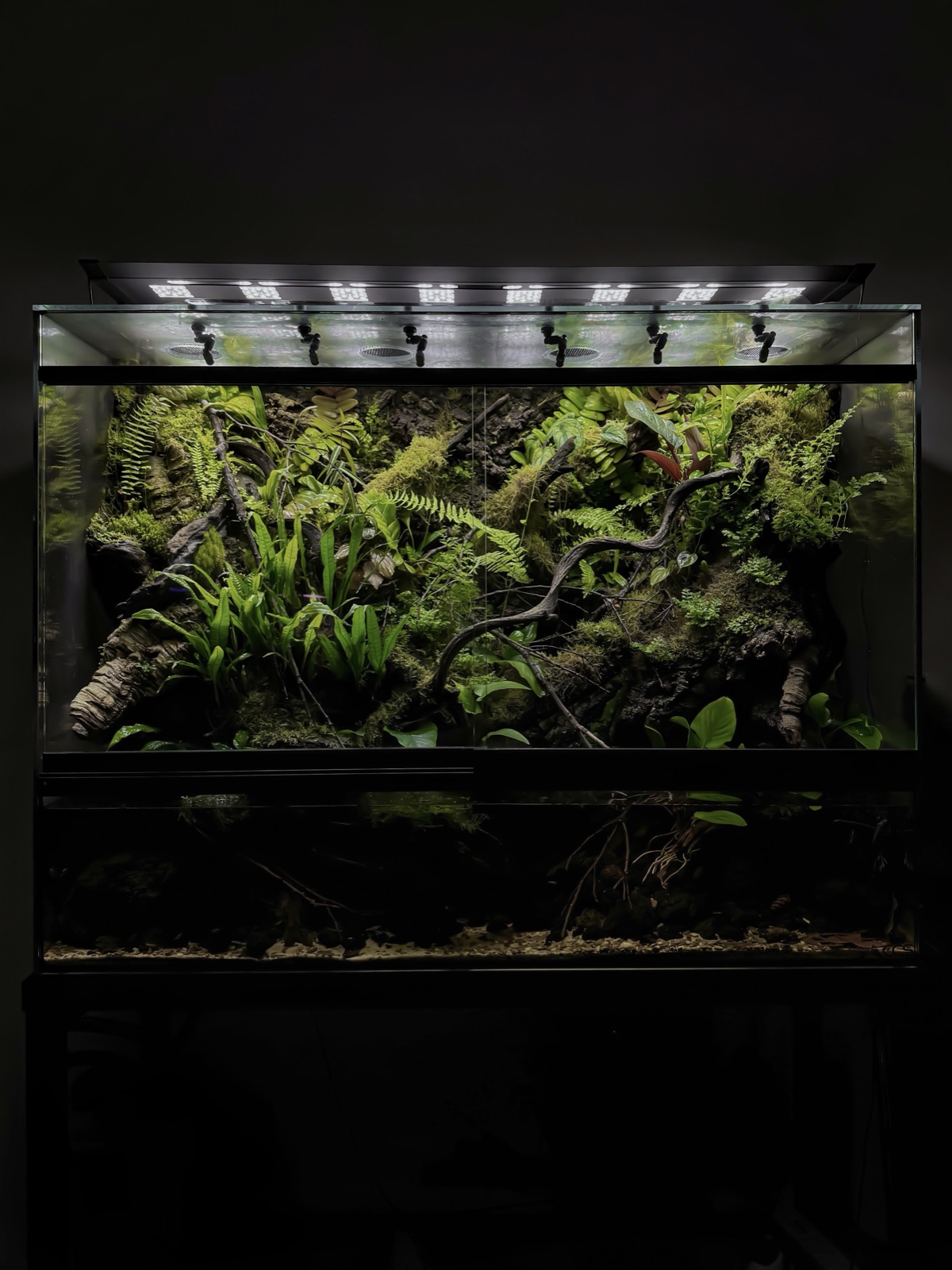 Vivarium & Paludarium