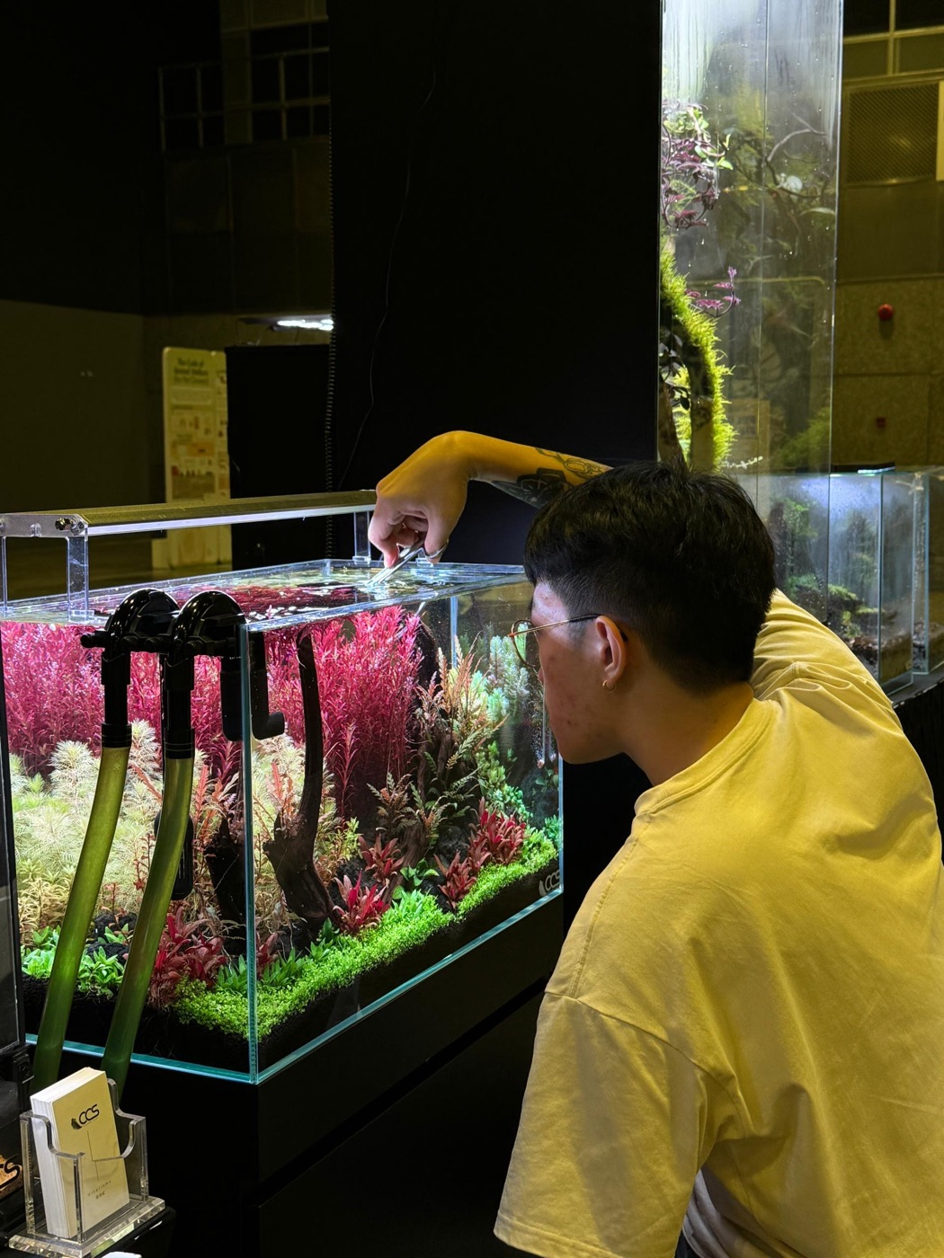 A CCS specialist tending a planted aquascape during a maintenance visit
