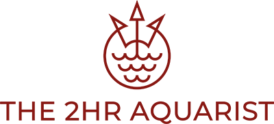 The 2Hr Aquarist