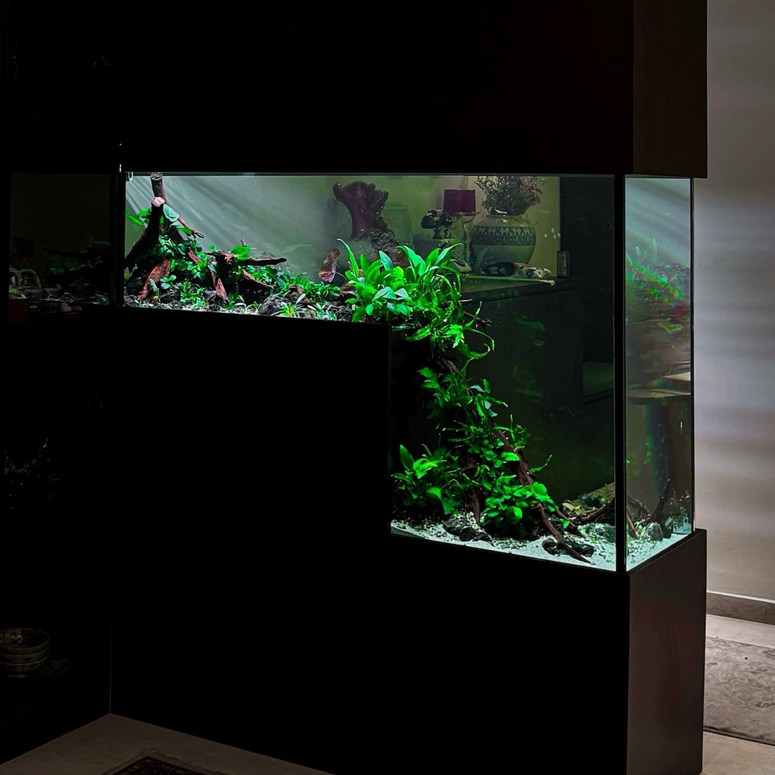 Aquascape