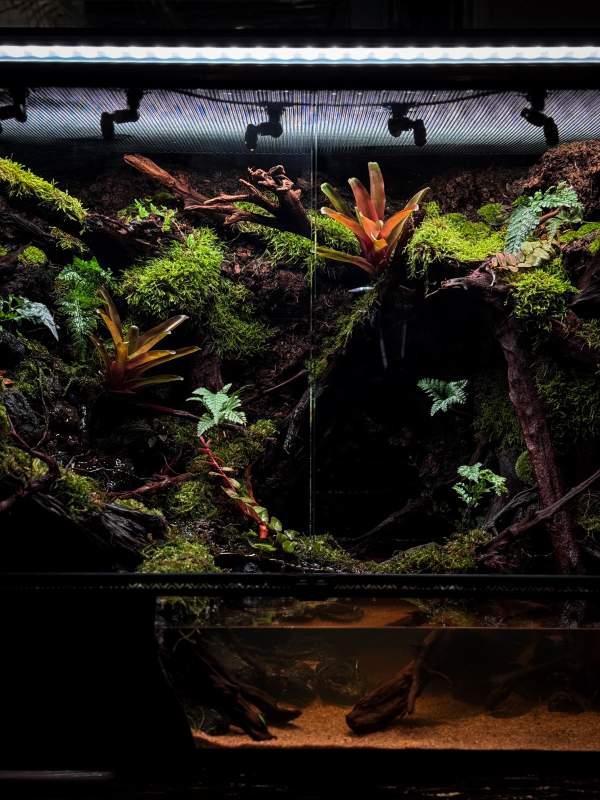 Lost: detail