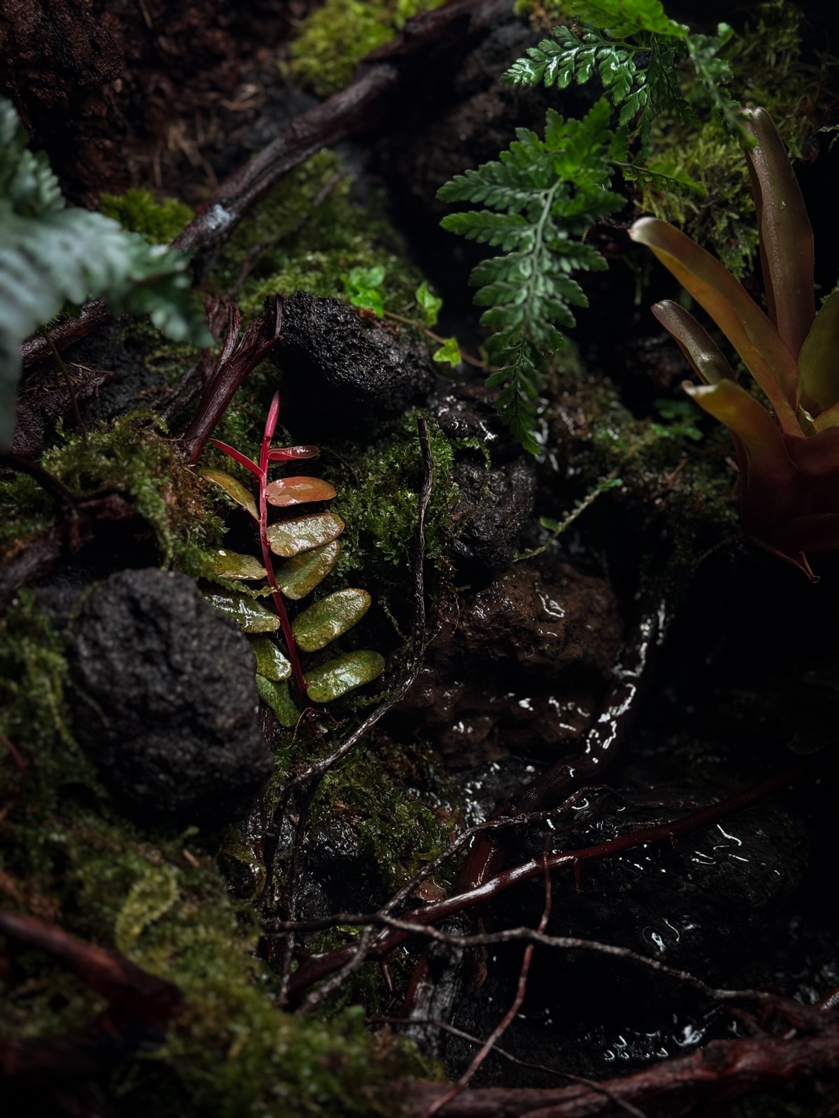 Lost: detail
