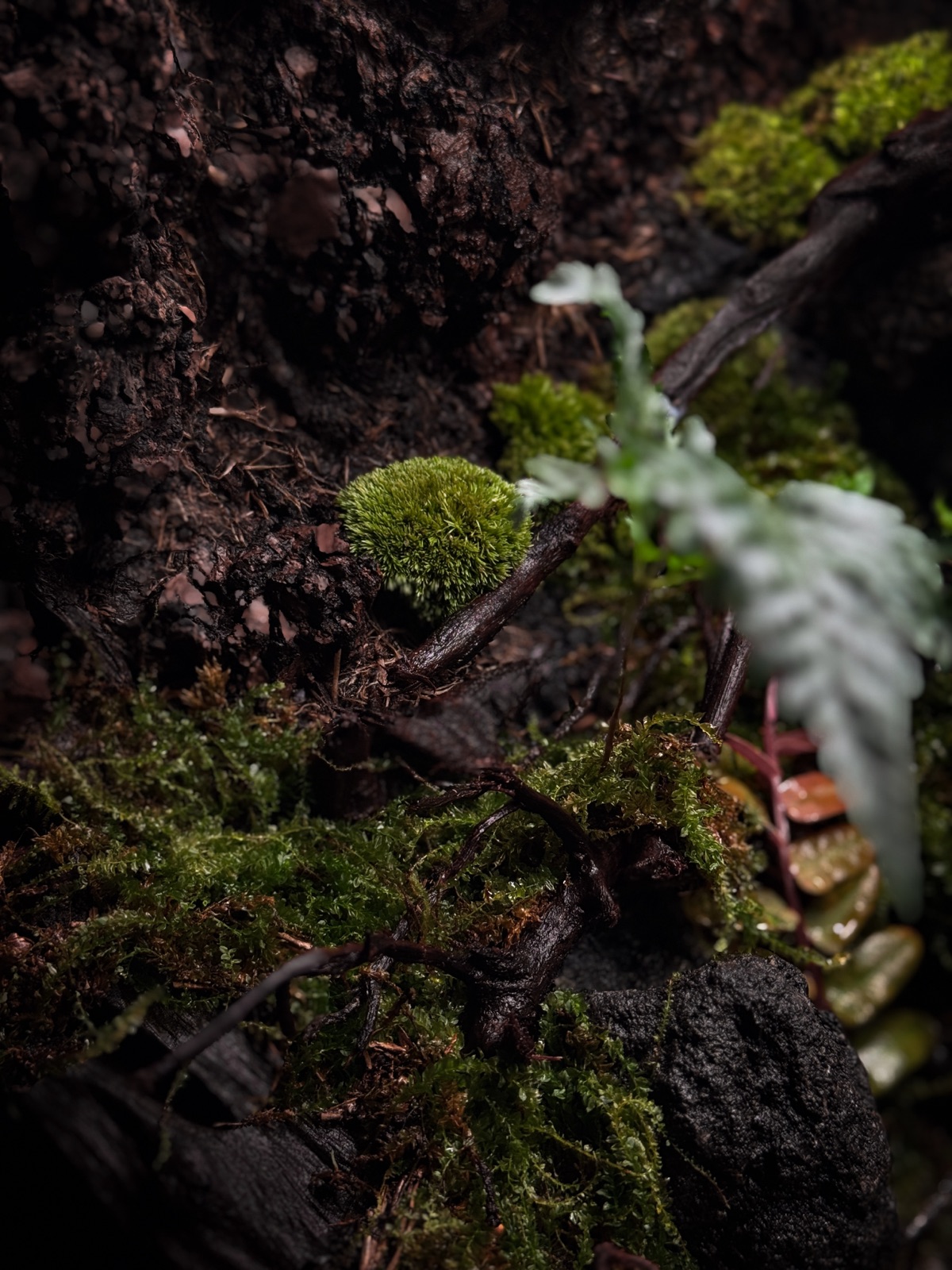 Lost: detail