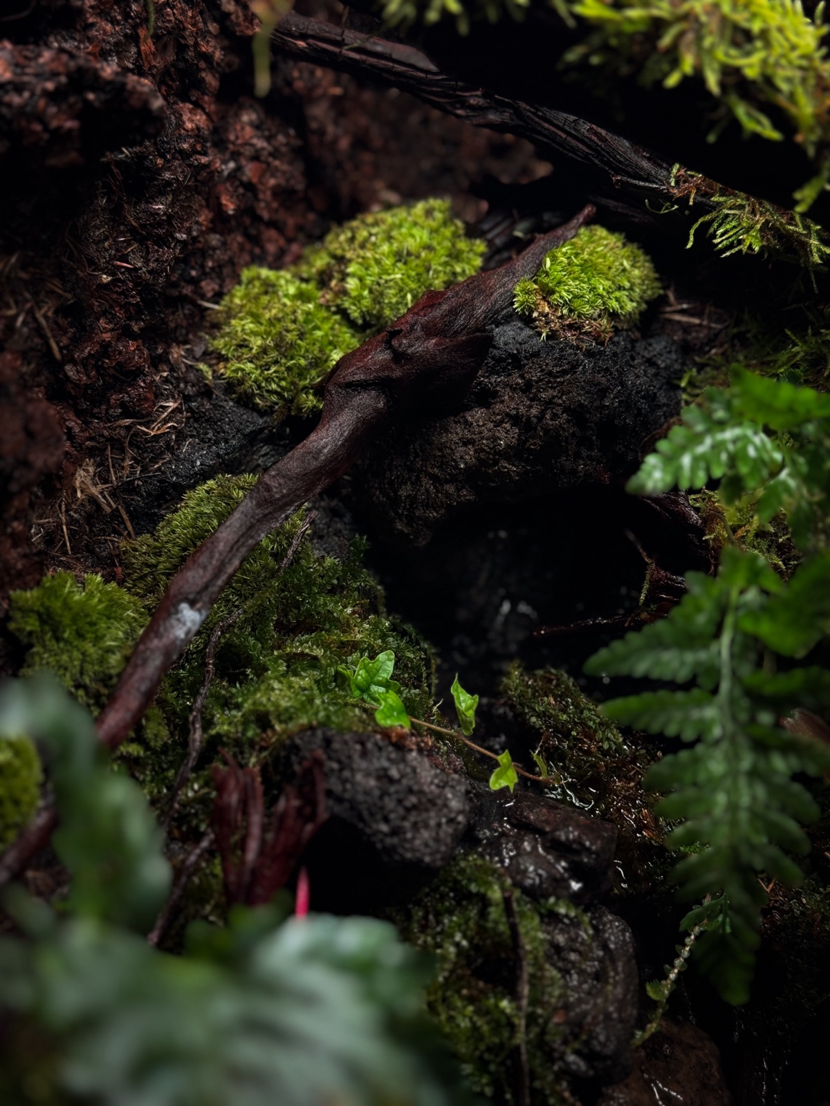 Lost: detail