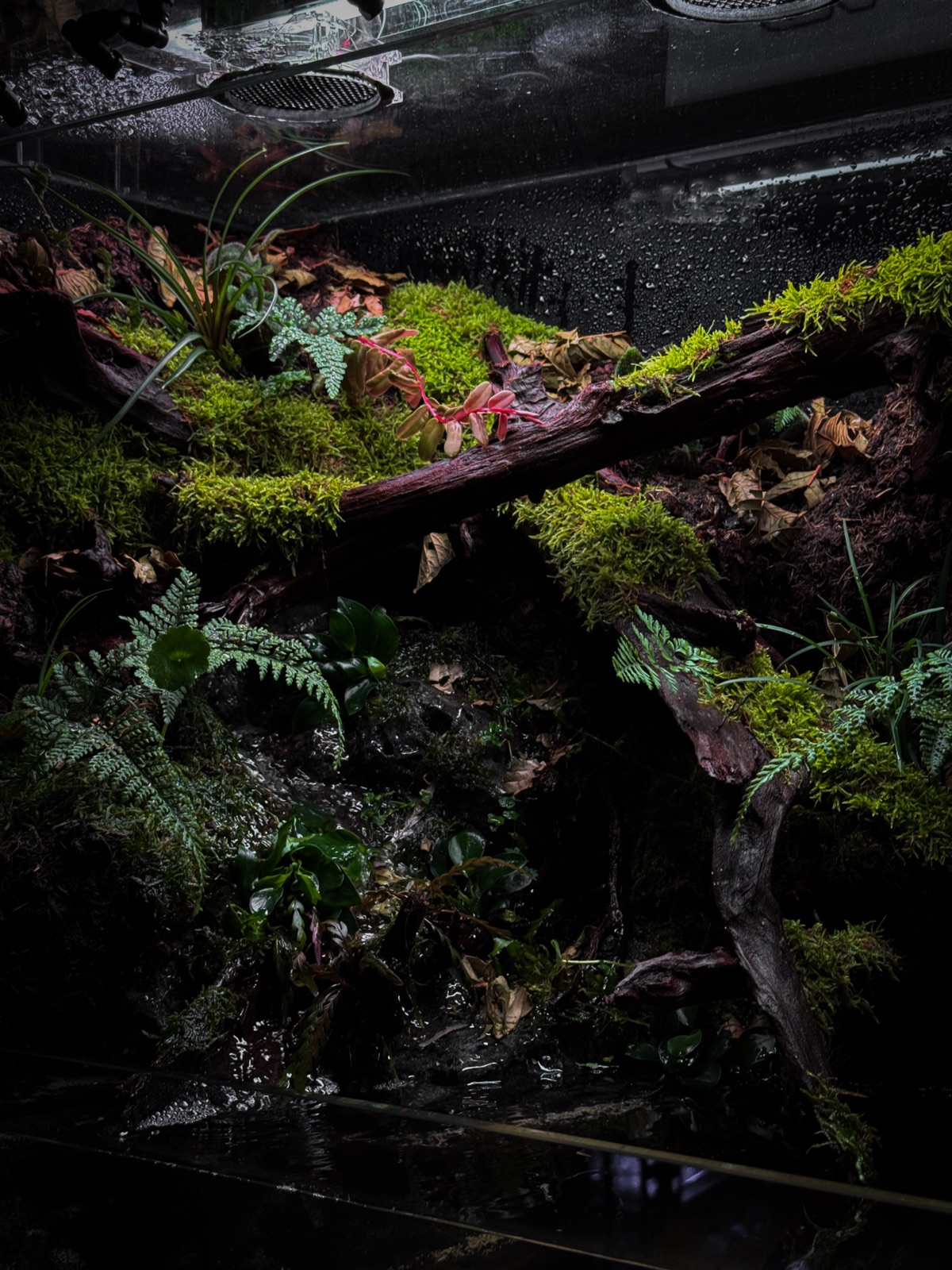 Riverbank: detail