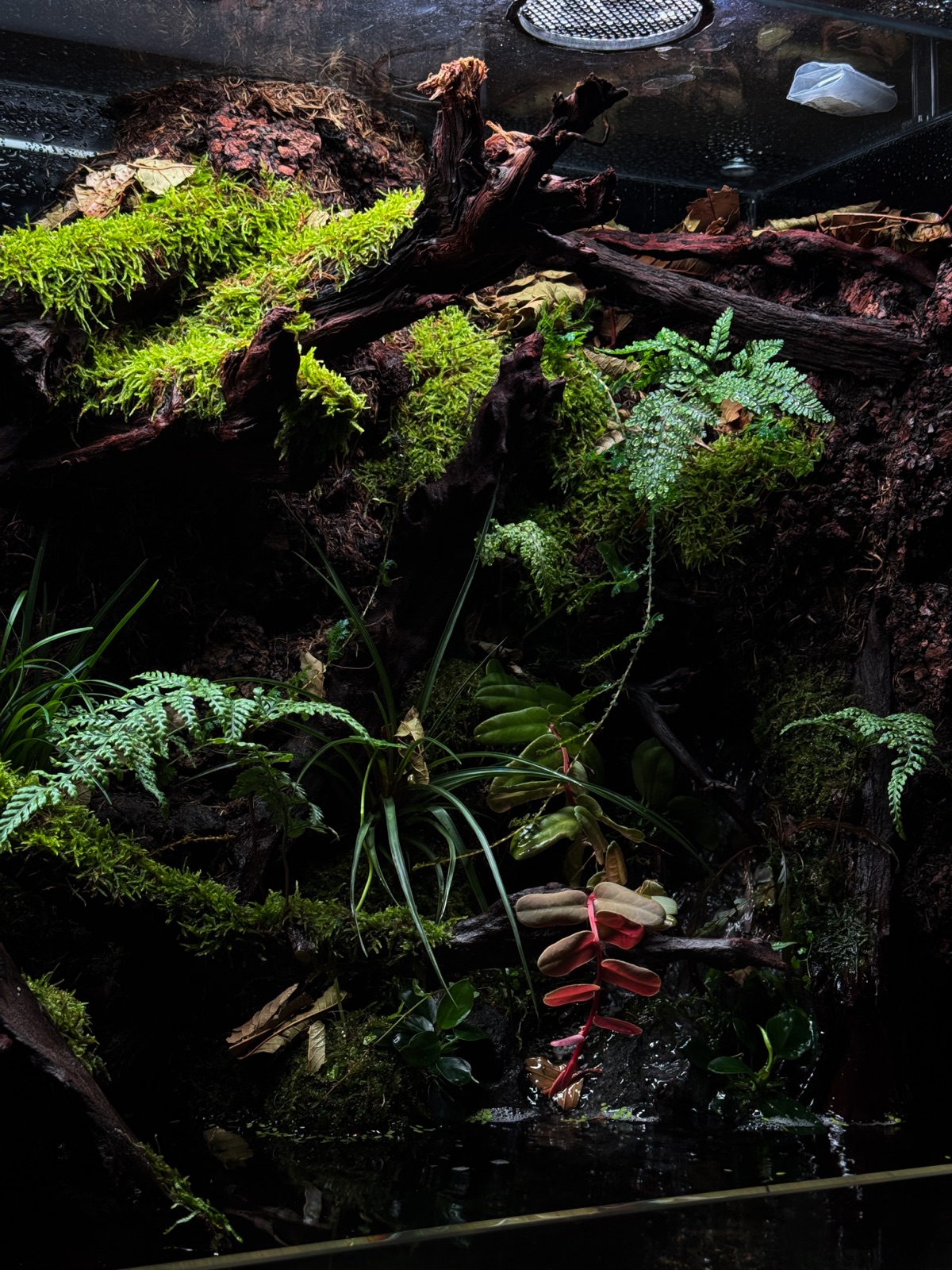 Riverbank: detail
