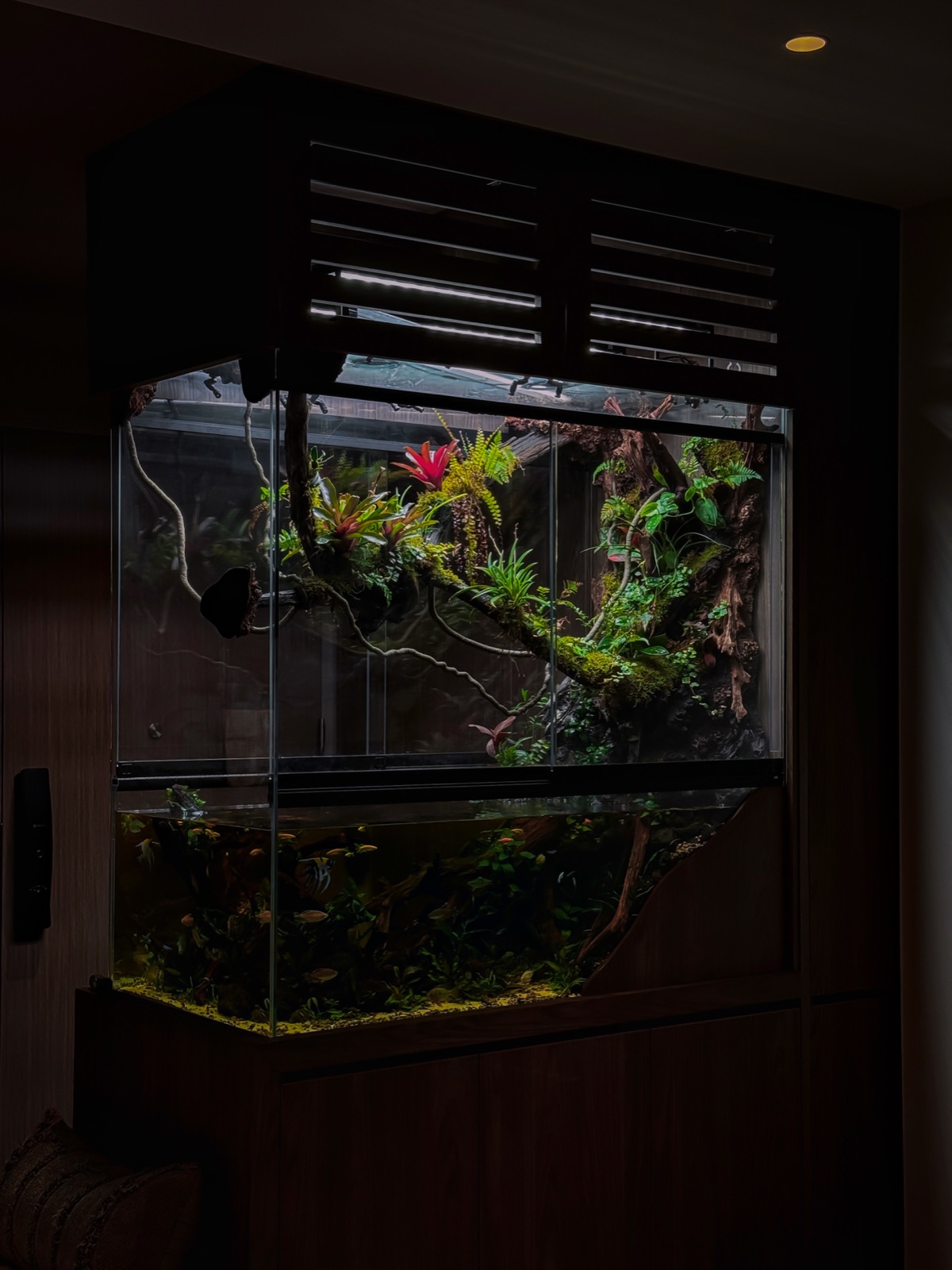 River Valley paludarium