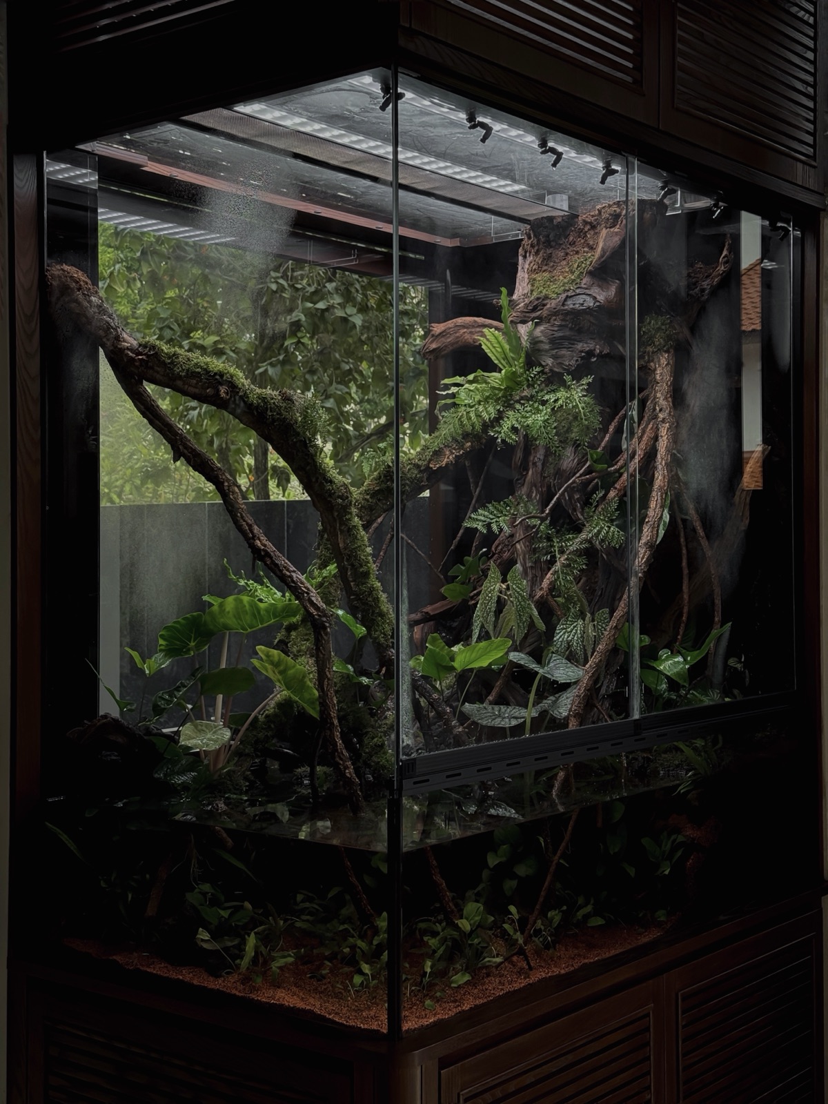 Cloud Forest: detail