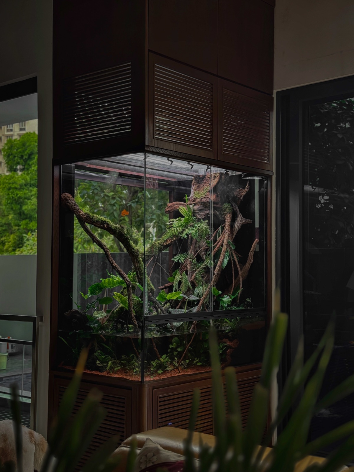 Cloud Forest — Paludarium