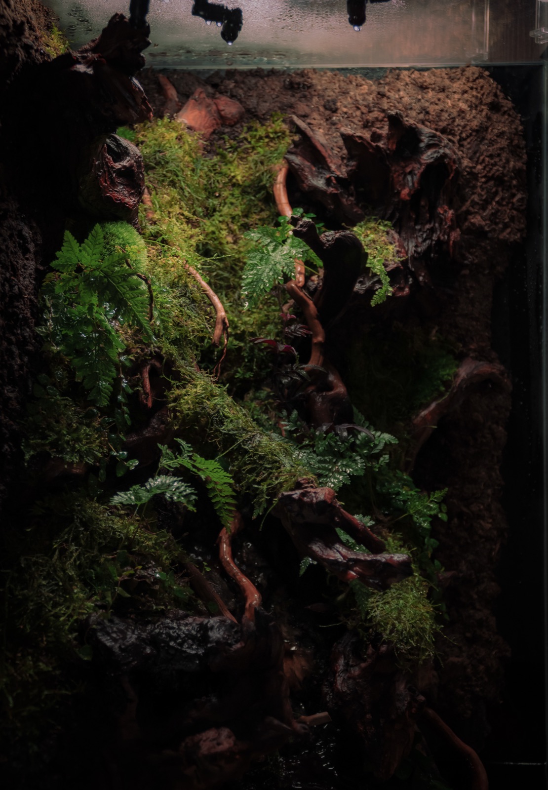 Vertical Jungle: detail