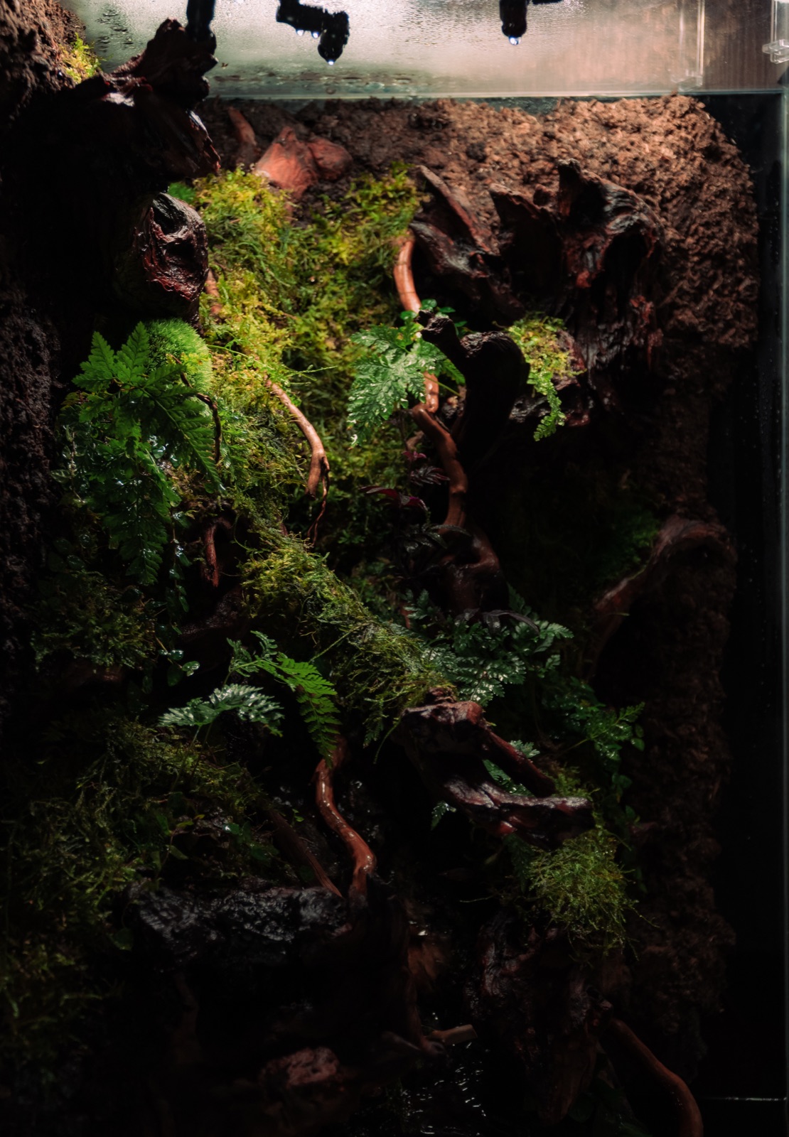 Vertical Jungle: detail