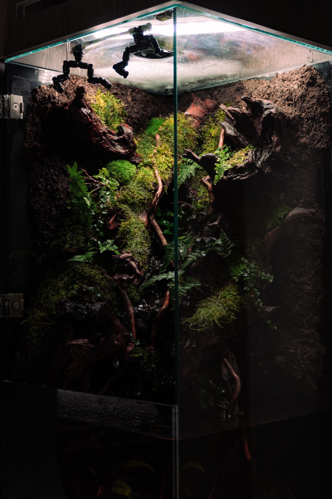 Vertical Jungle: detail