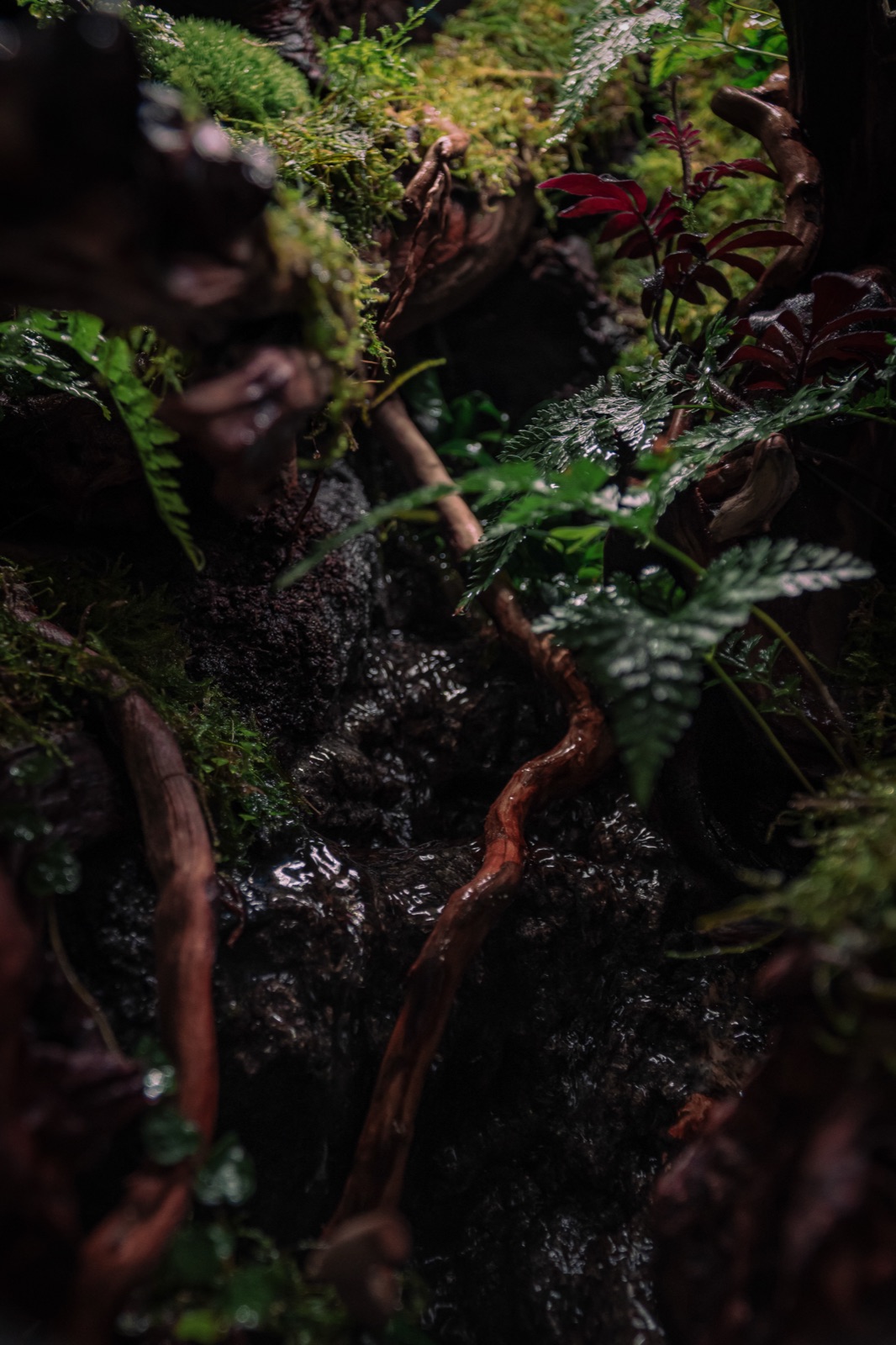 Vertical Jungle: detail