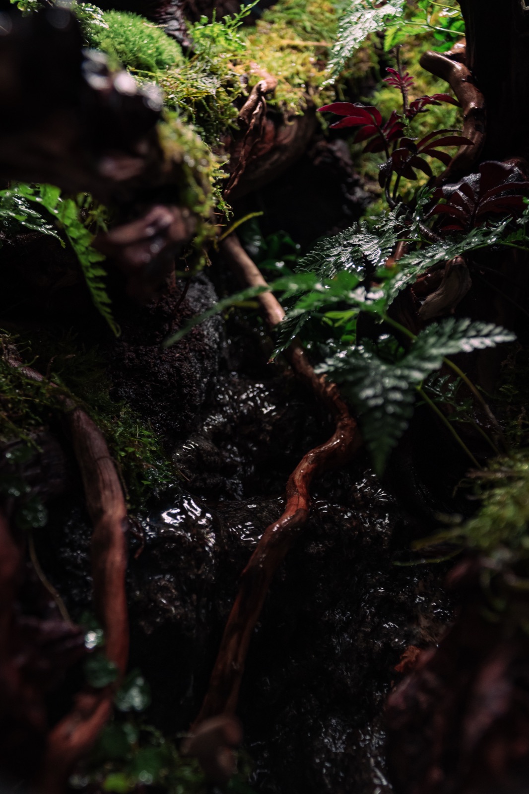 Vertical Jungle: detail