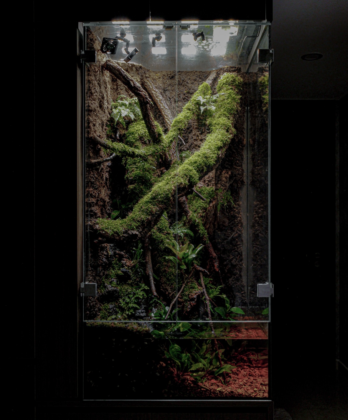 Mossbridge — Paludarium