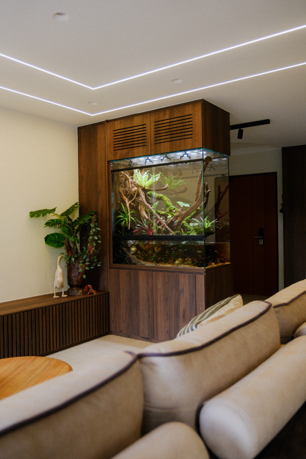 Ascend paludarium