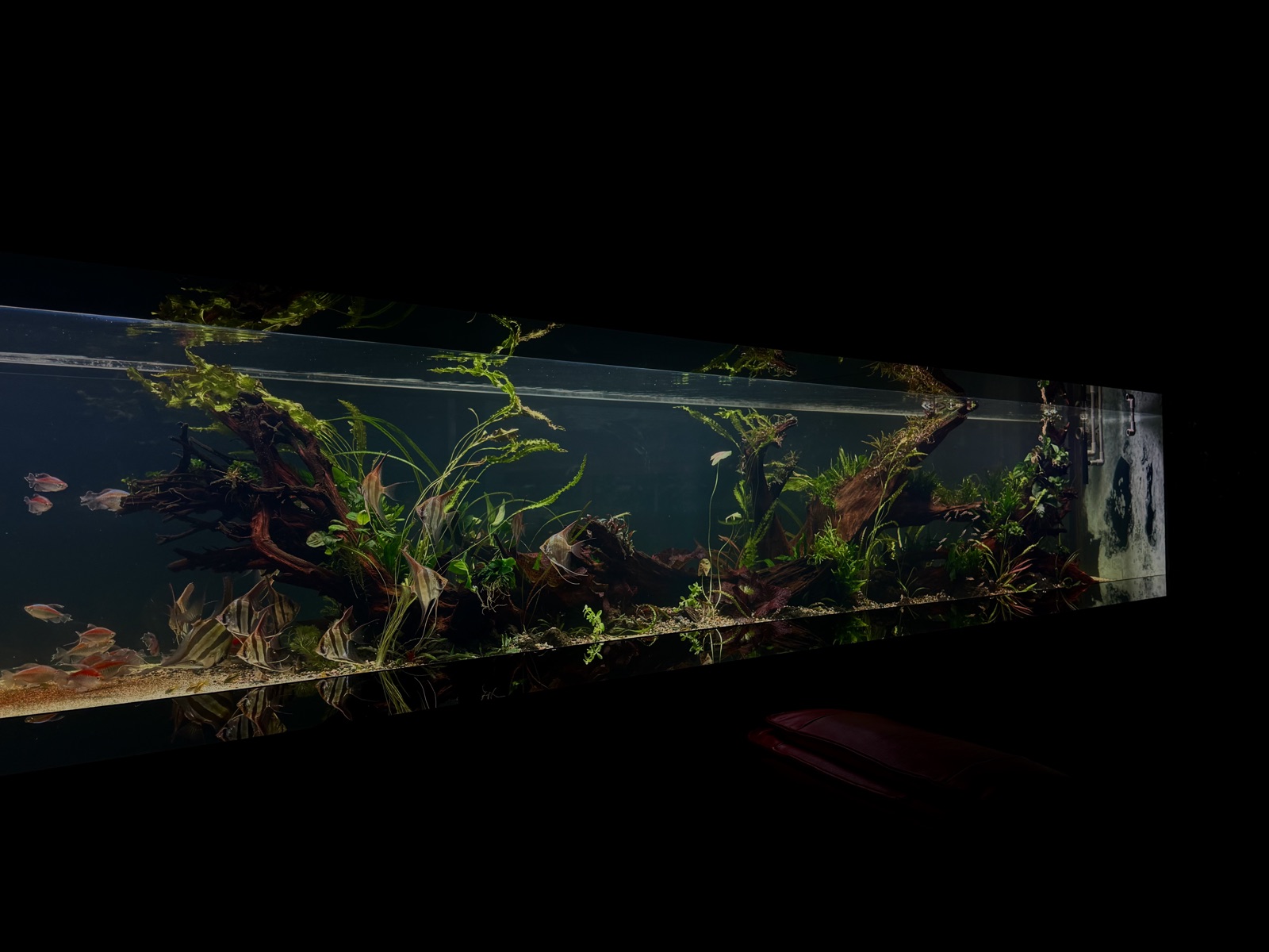 Drifting — a six-metre CCS aquascape installation