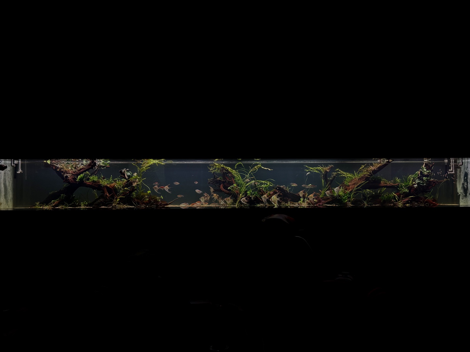 Drifting: full length