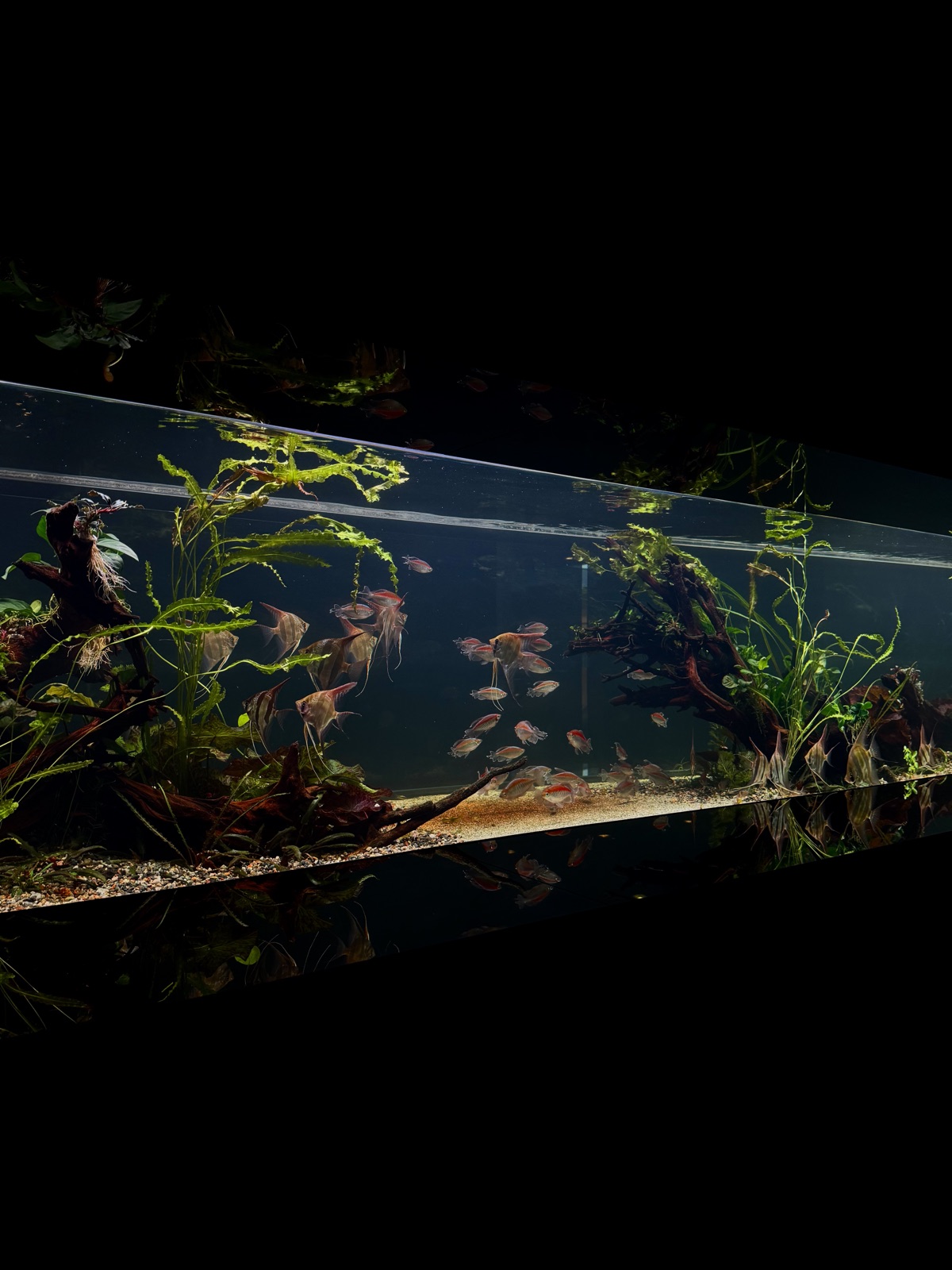 Drifting — Aquascape