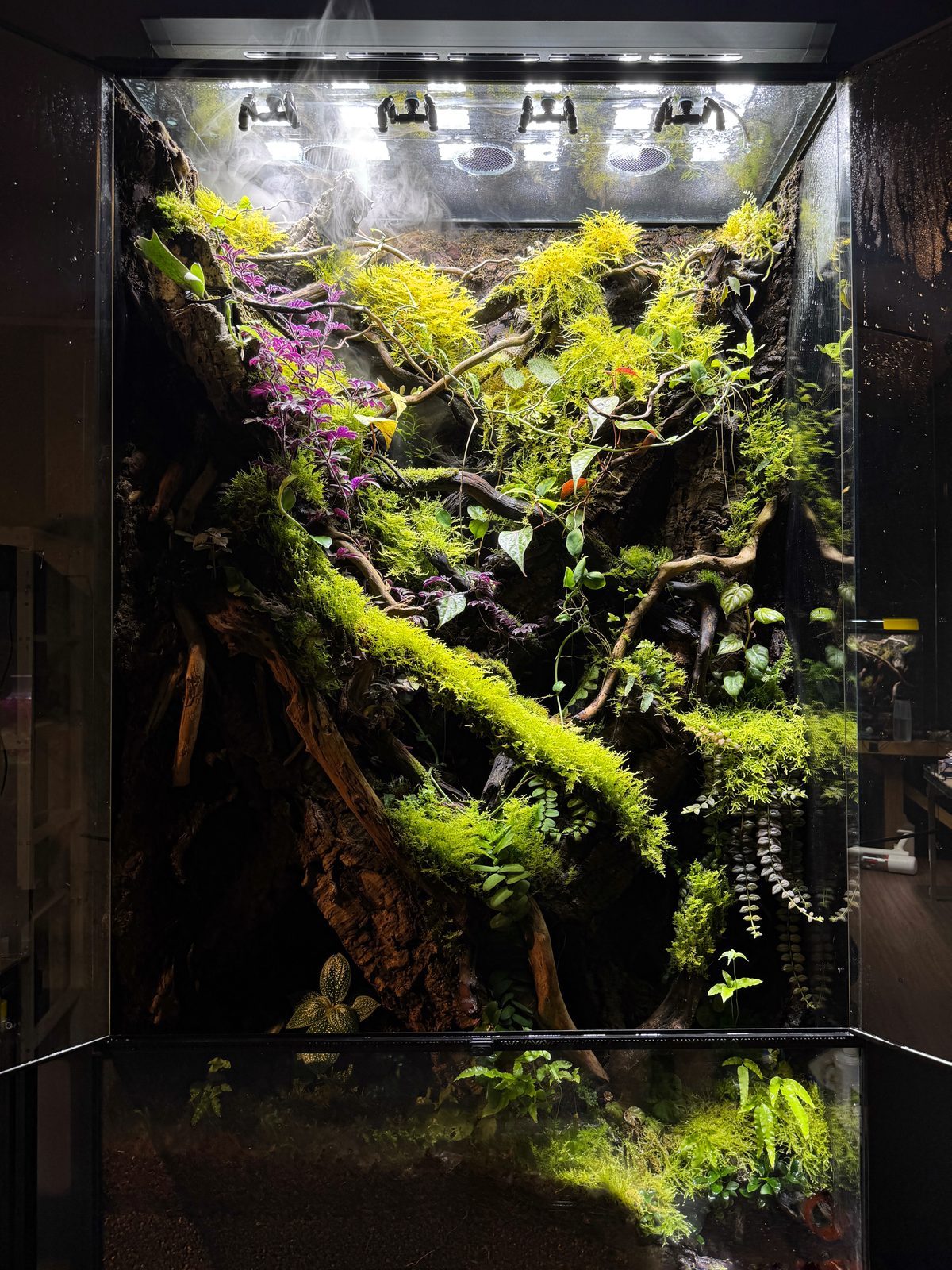 Canopy vivarium