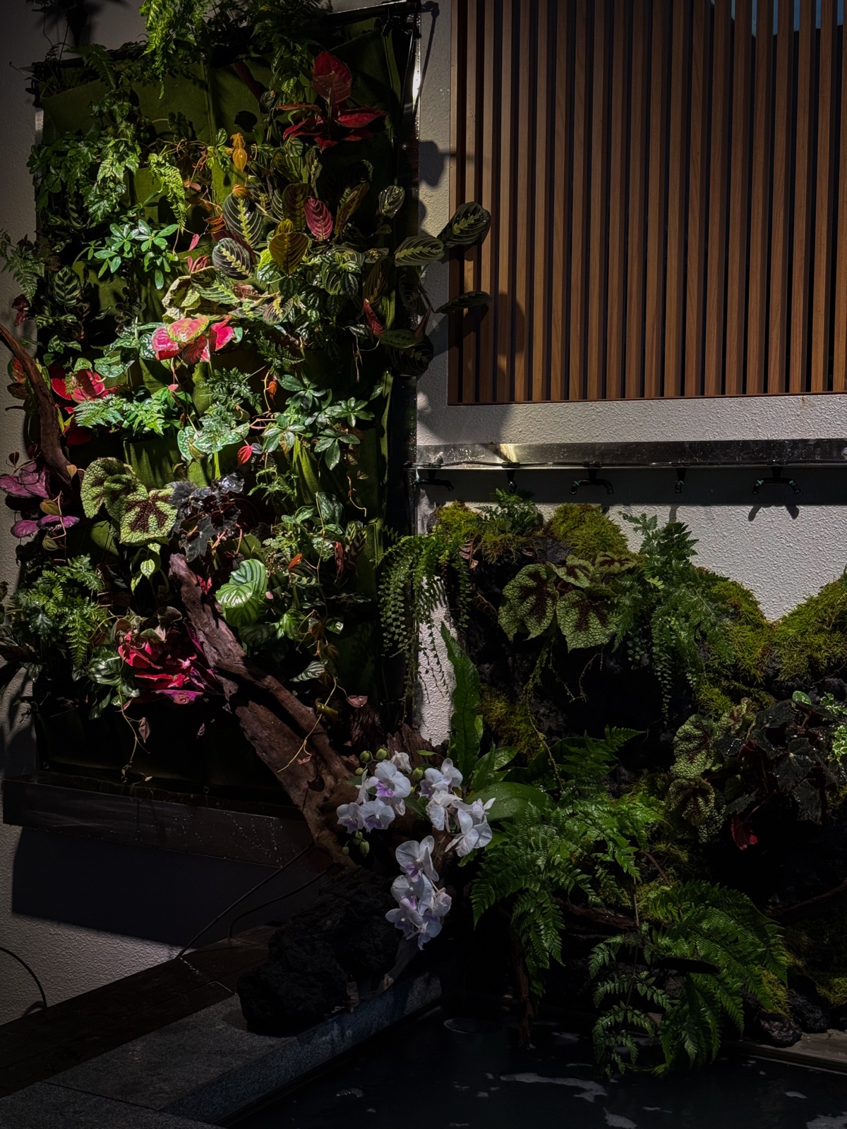 Naturalistic Pondscape: the living plant wall in daylight