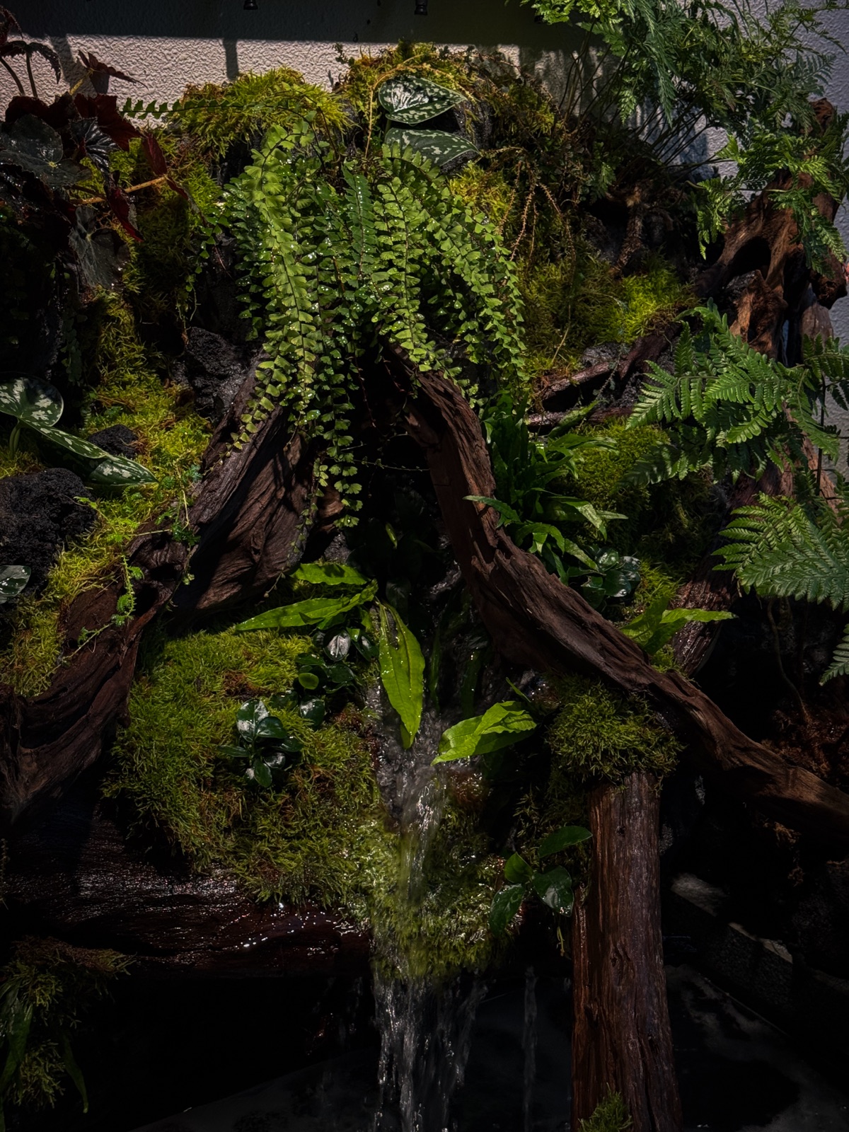 Naturalistic Pondscape: waterfall cascading through ferns and moss