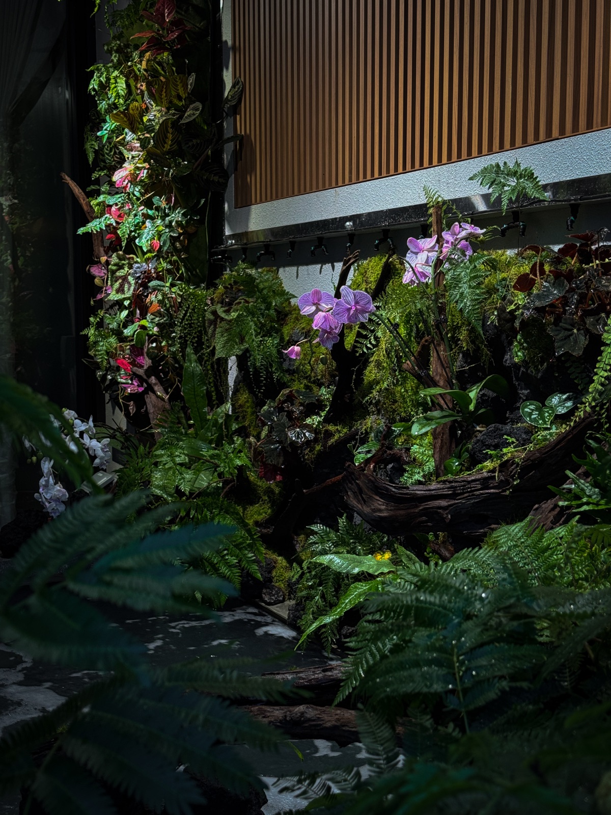 Naturalistic Pondscape: orchids against the wood-slat wall
