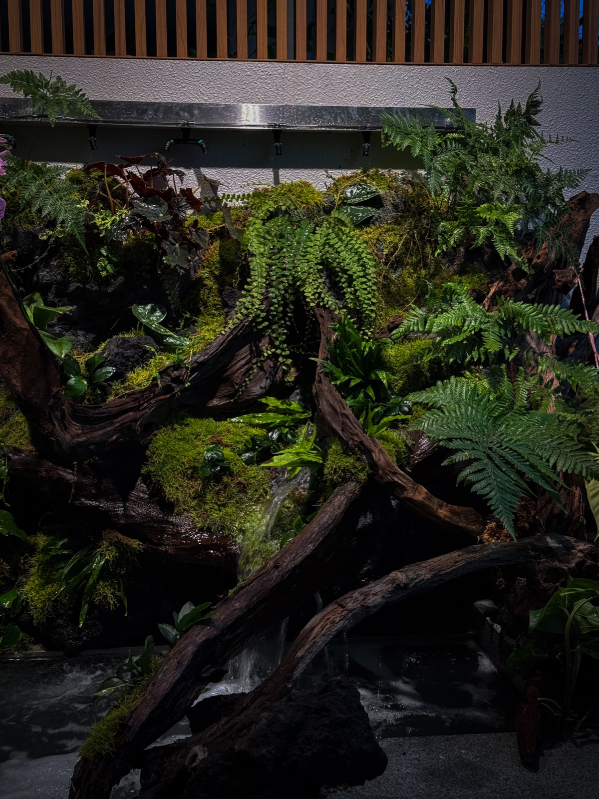 Naturalistic Pondscape: fern and moss over driftwood