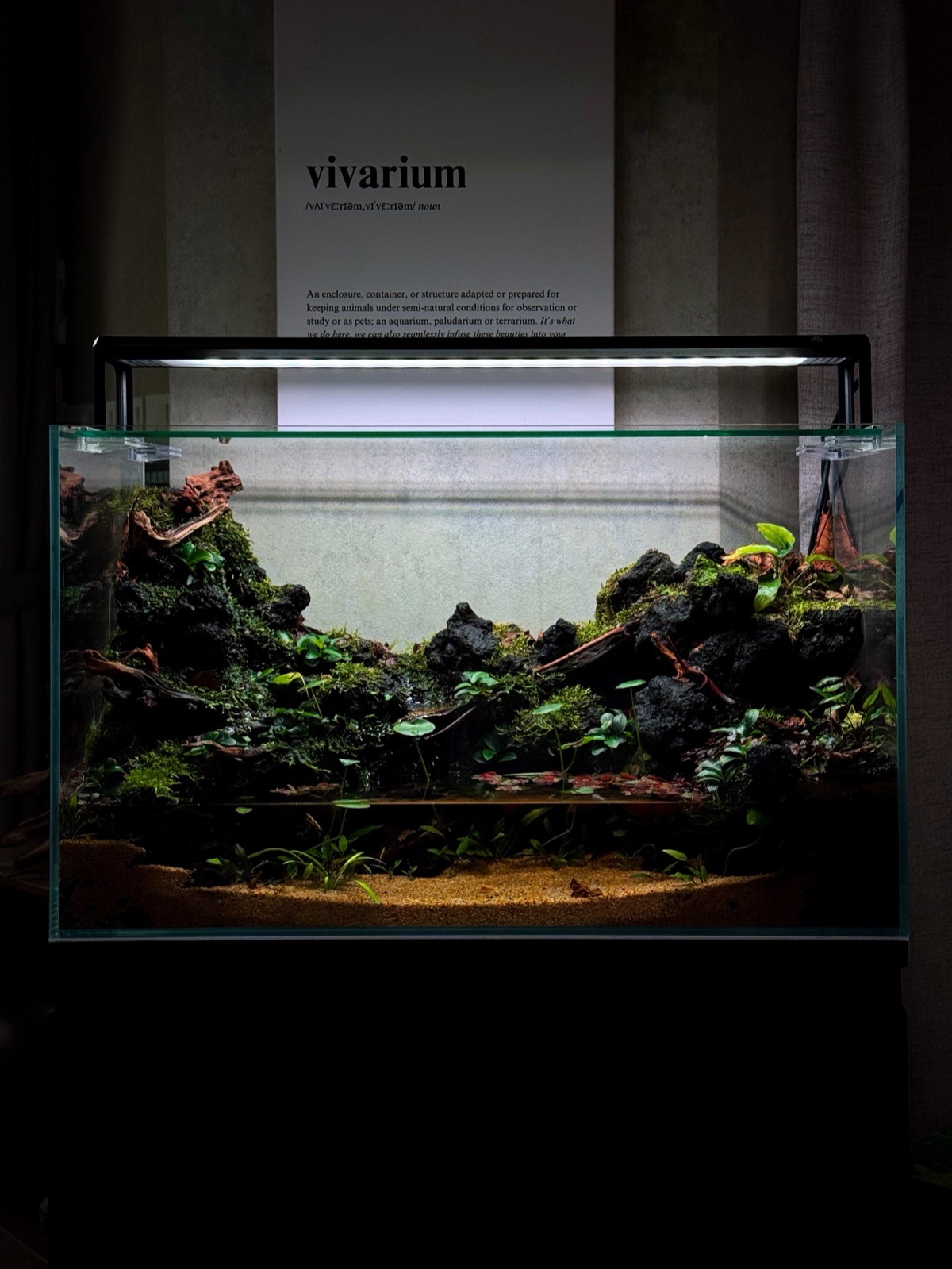 Riverbank Signature paludarium