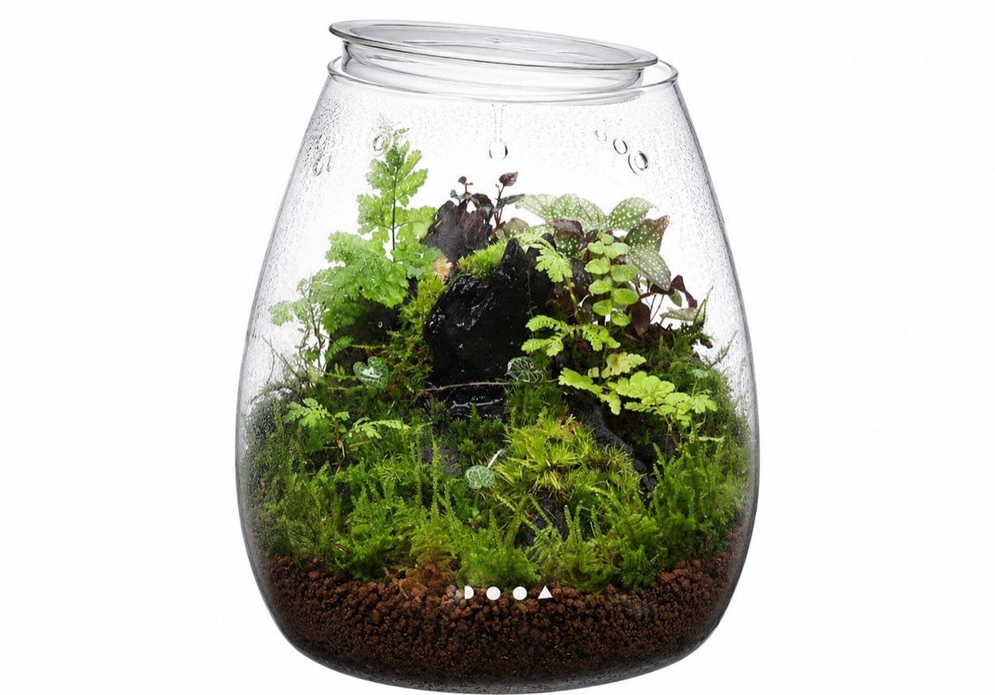 Opening a terrarium lid to let it breathe