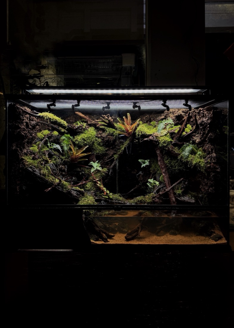Nano aquascape signature