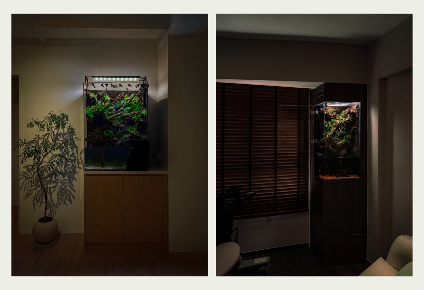 A freestanding vivarium on a stand
