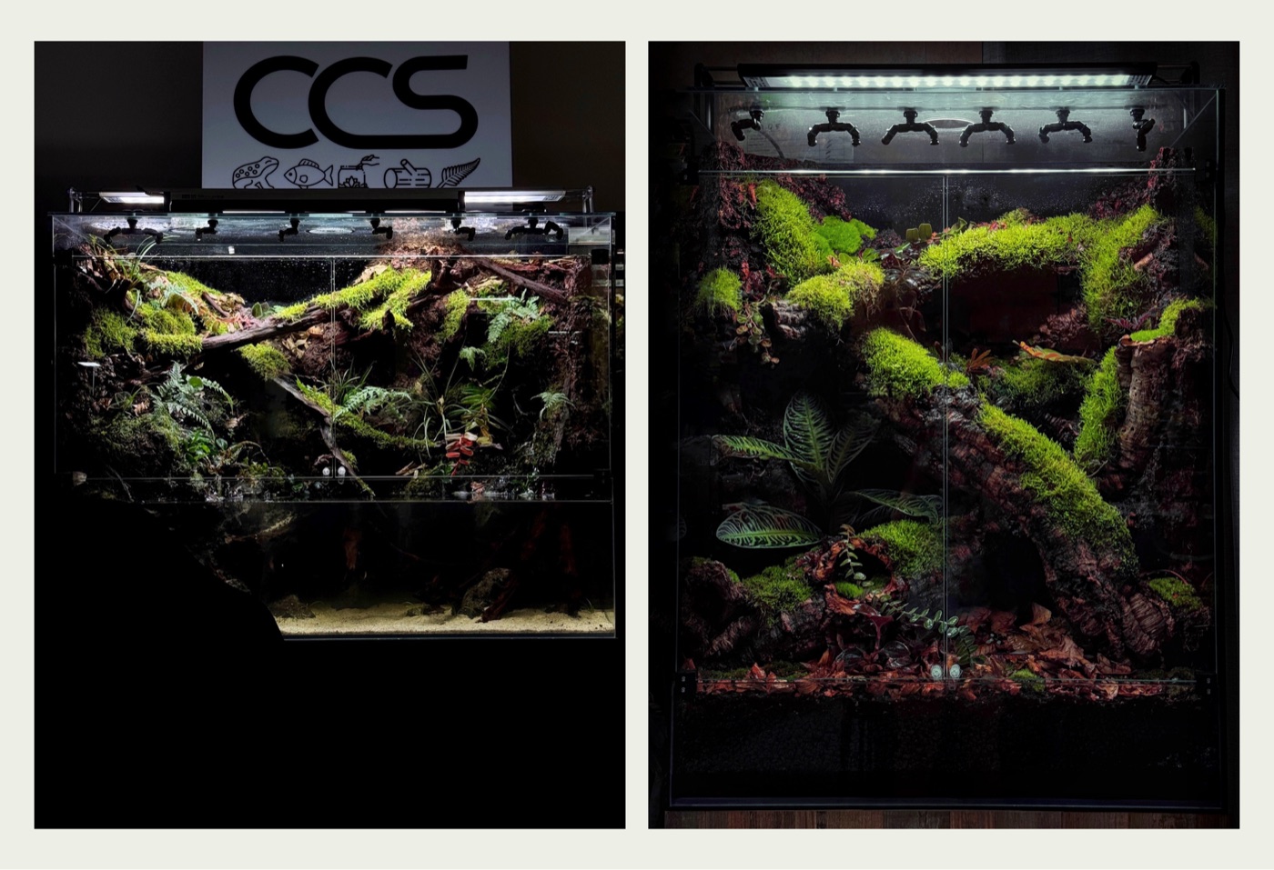 A paludarium with a built-in water feature