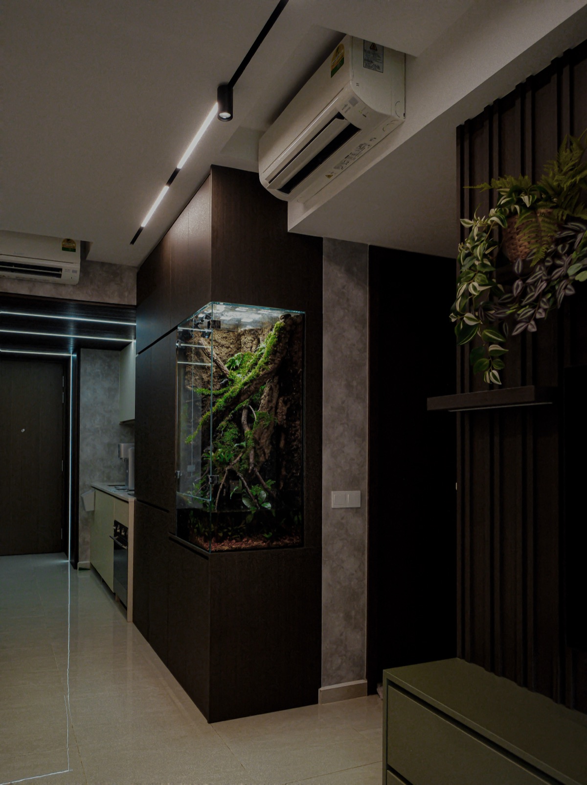 A tall, slim vivarium fitted into a room corner