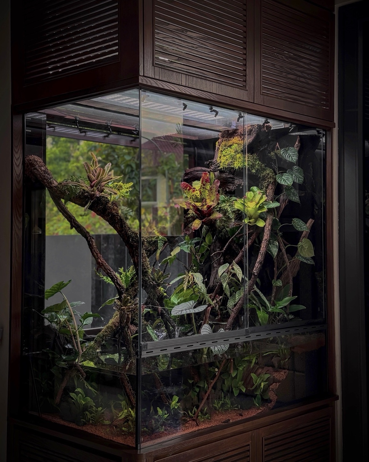 A paludarium built into a wall like a living feature