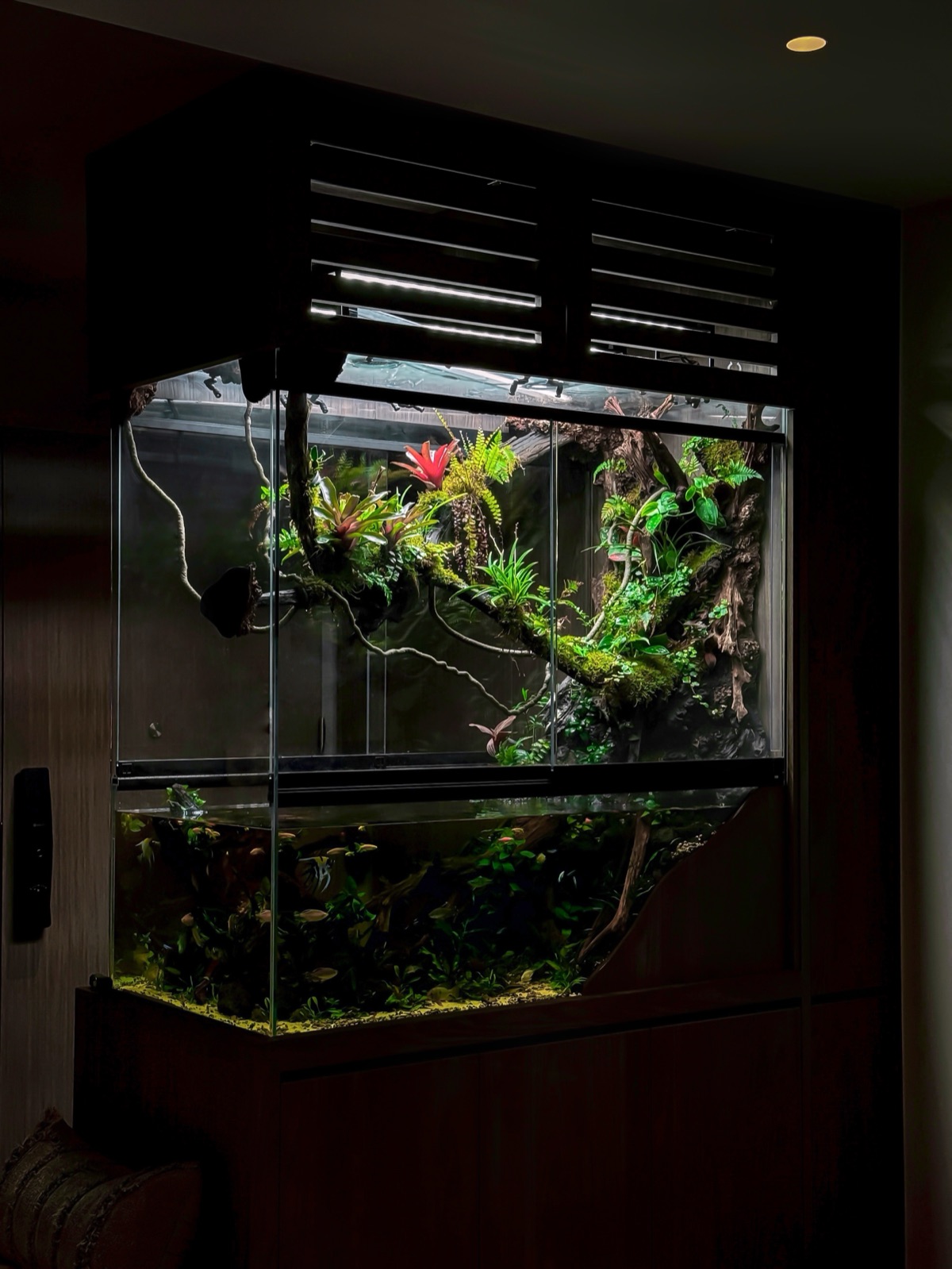 A peninsula paludarium dividing a room, viewable from several sides