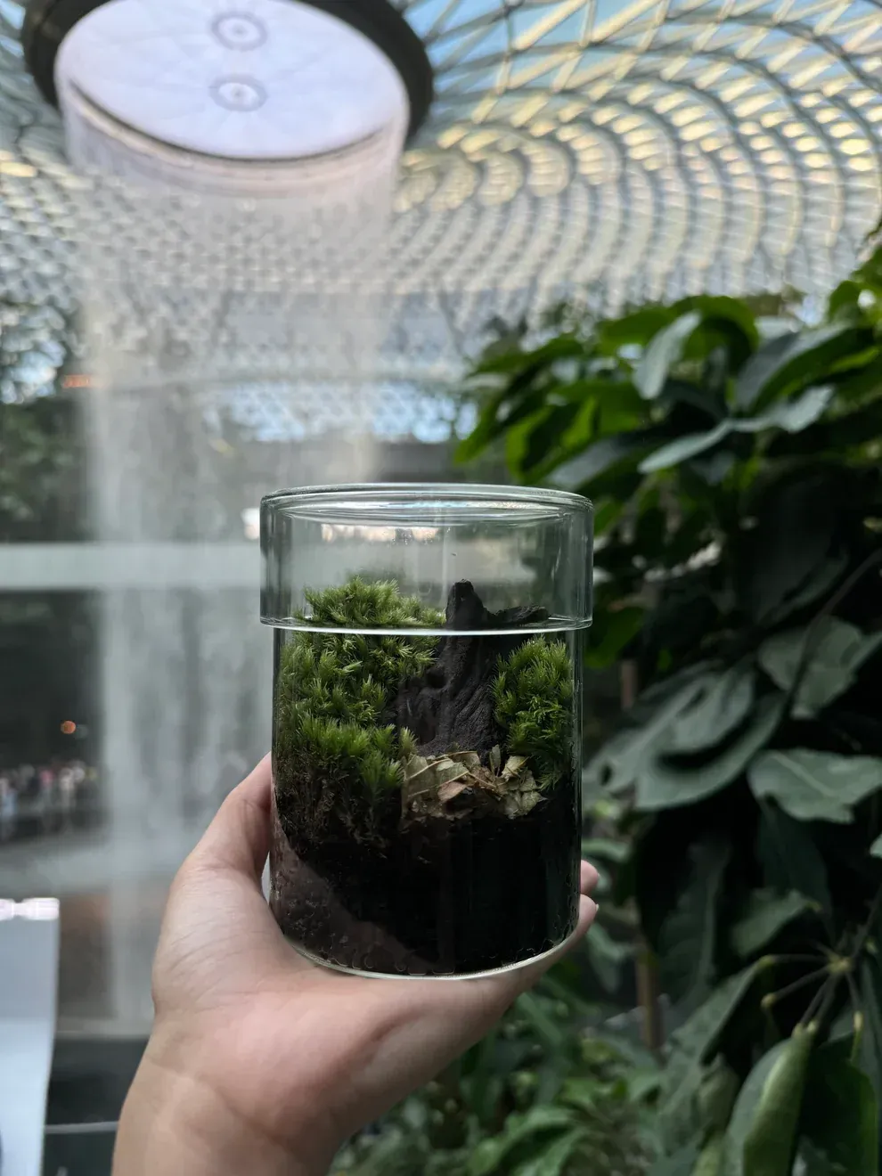 Mini Nature Terrarium Workshop