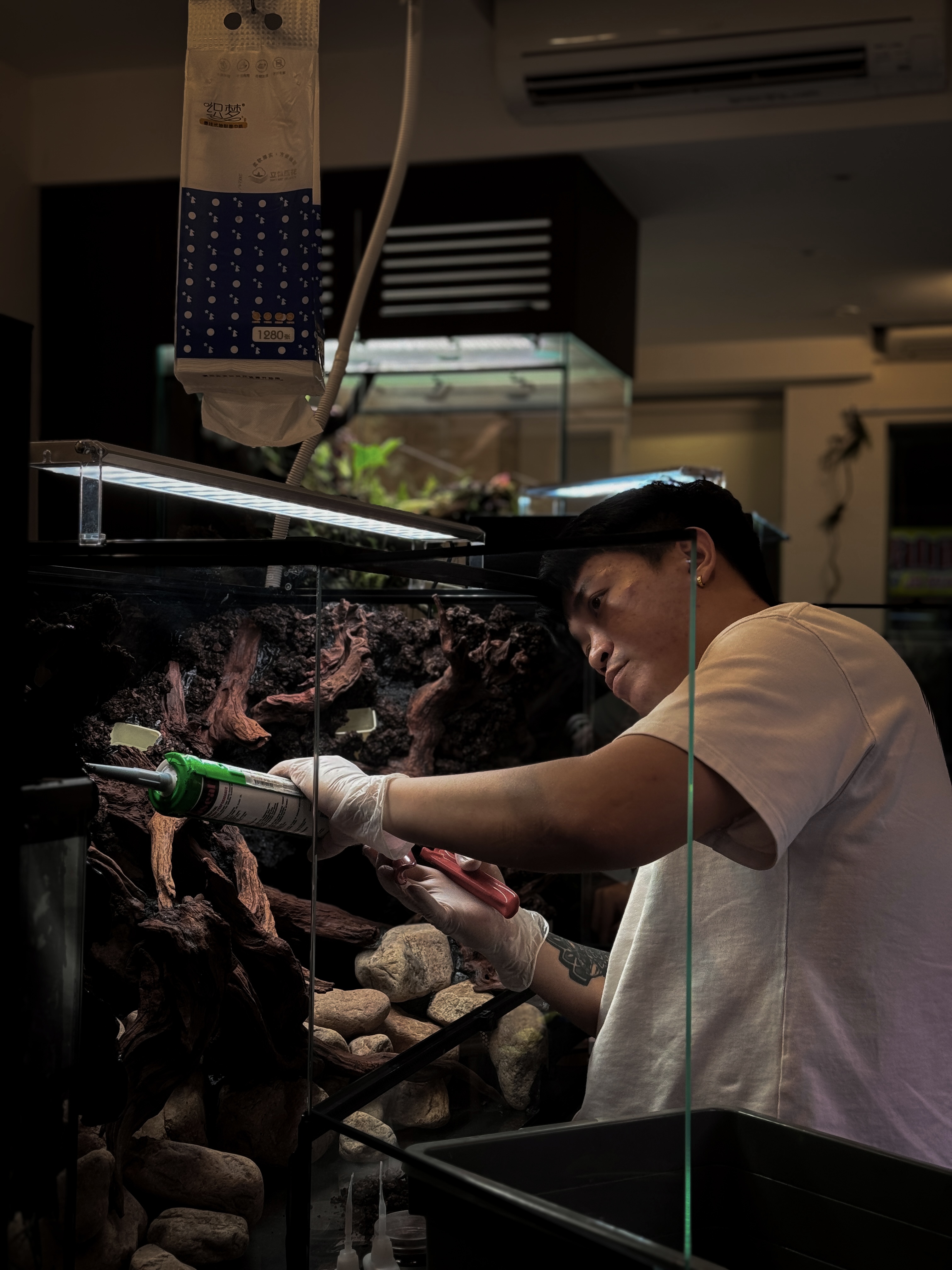 Founder Di Kai building a paludarium at the studio
