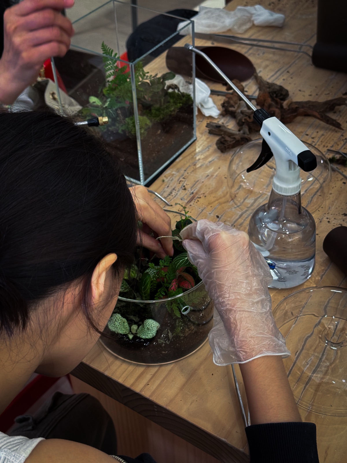 Detailed planting work during a workshop