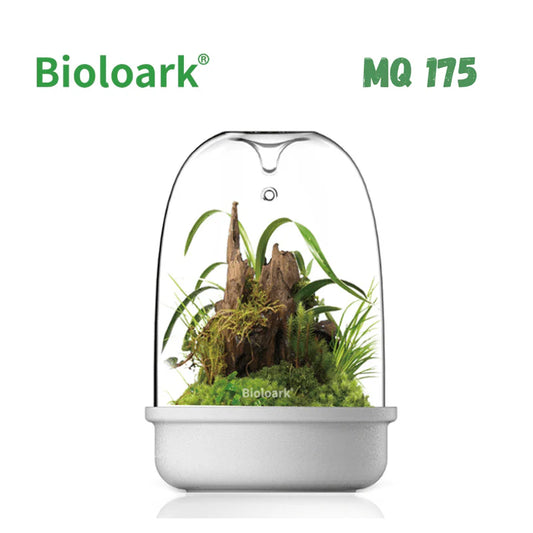 BIOLOARK - Bio Bottle Terrarium (MQ-175) (White)