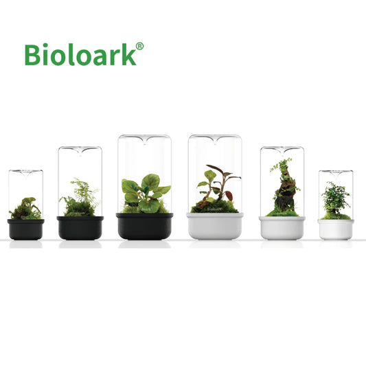 BIOLOARK - Bio Bottle Terrarium (MH-80/100/120) (Black/White)