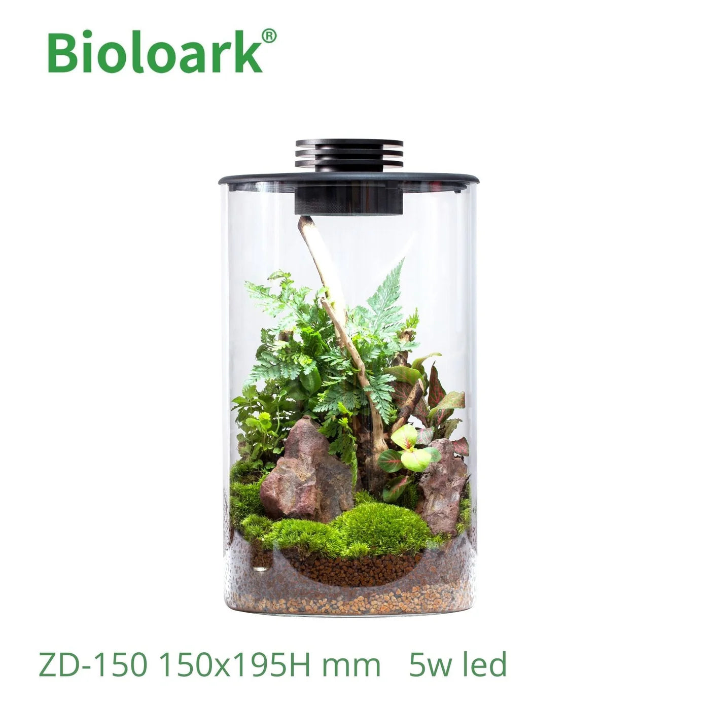 BIOLOARK - Cylindrical Terrarium (ZD-150)