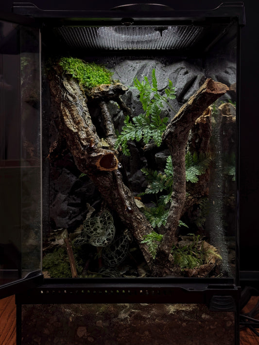 Mini Vivarium Workshop (20 x 20 x 30cm)