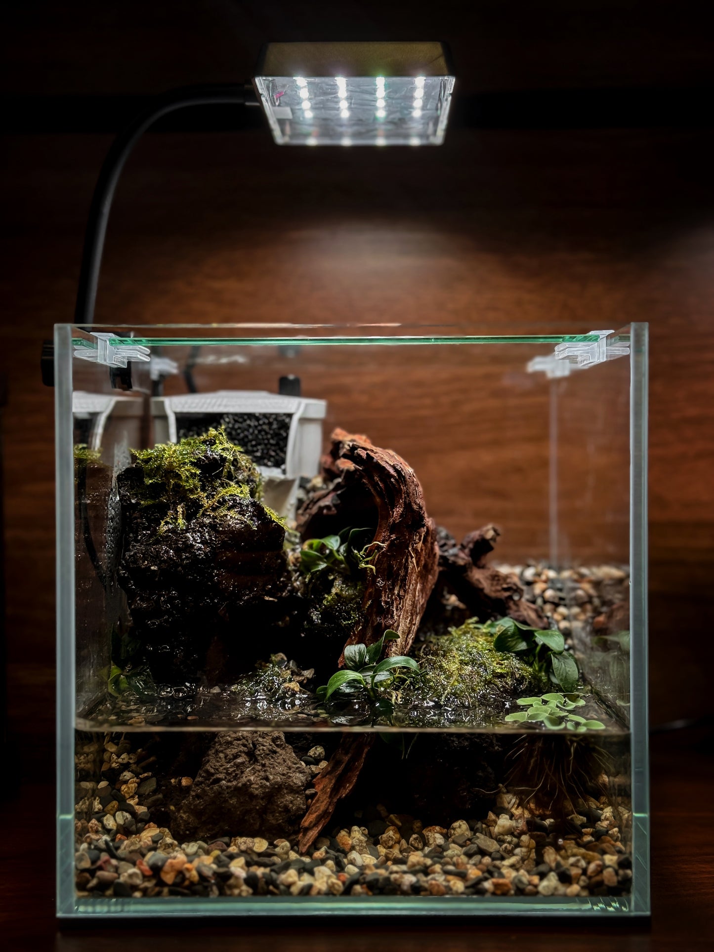 Crab nano tank workshop